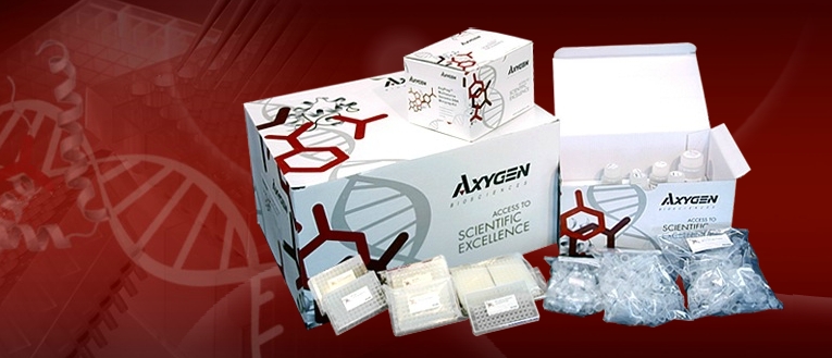 AxyPrep-96 质粒DNA试剂盒，4×96 prep