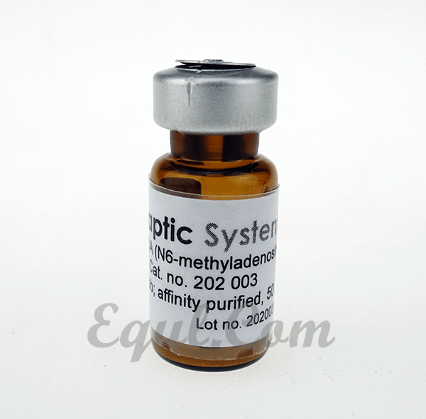 SYSY (N6-methyladenosine)