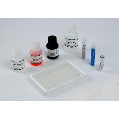 NEOGEN 16β-羟基司坦唑醇法医 ELISA 试剂盒