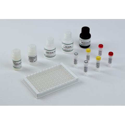 可卡因/苯亚甲基丙二腈 法医ELISA试剂盒