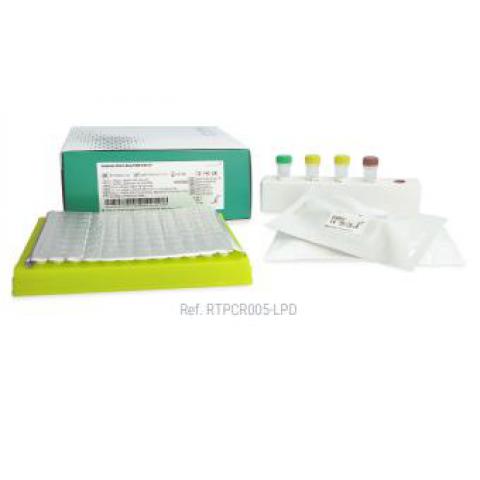 vircell 白色念珠菌PCR检测试剂盒 VAGINAL PANEL REALTIME PCR KIT