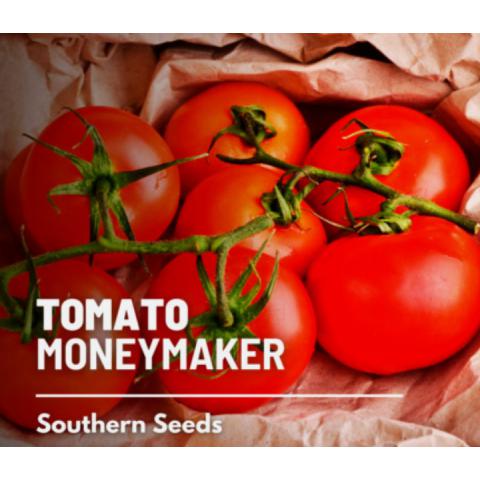 Moneymaker 番茄种子 容易生长，非转基因