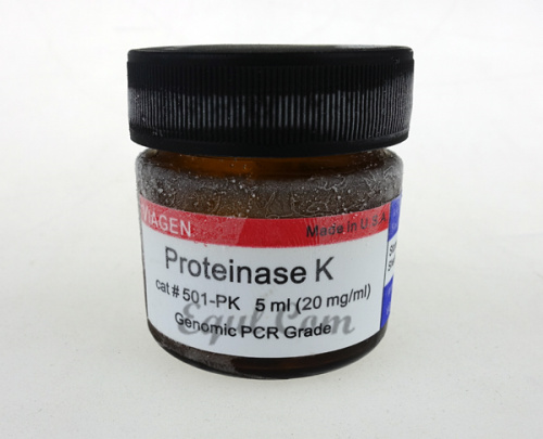 Viagen Proteinase K Solution 5ml (20mg/ml) 5ml