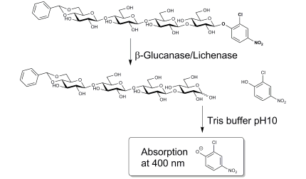 麦芽β-葡聚糖酶/β-葡聚糖酶检测试剂盒