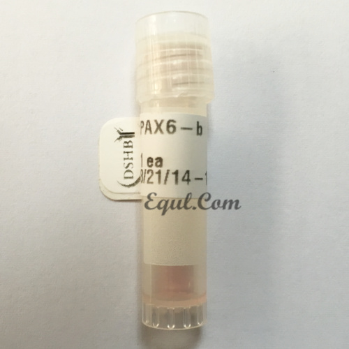 PAX6 antibody Bioreactor Supernatant 0.1ml