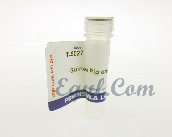 α-CGRP (human) - Undiluted Antiserum for Immunohistochemistry， Host: Guinea Pig