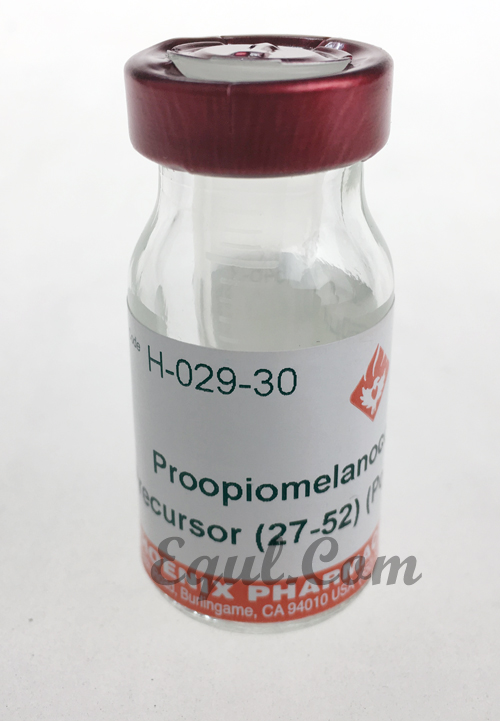 Proopiomelanocortin Precursor (POMC) (27-52) (Porcine)